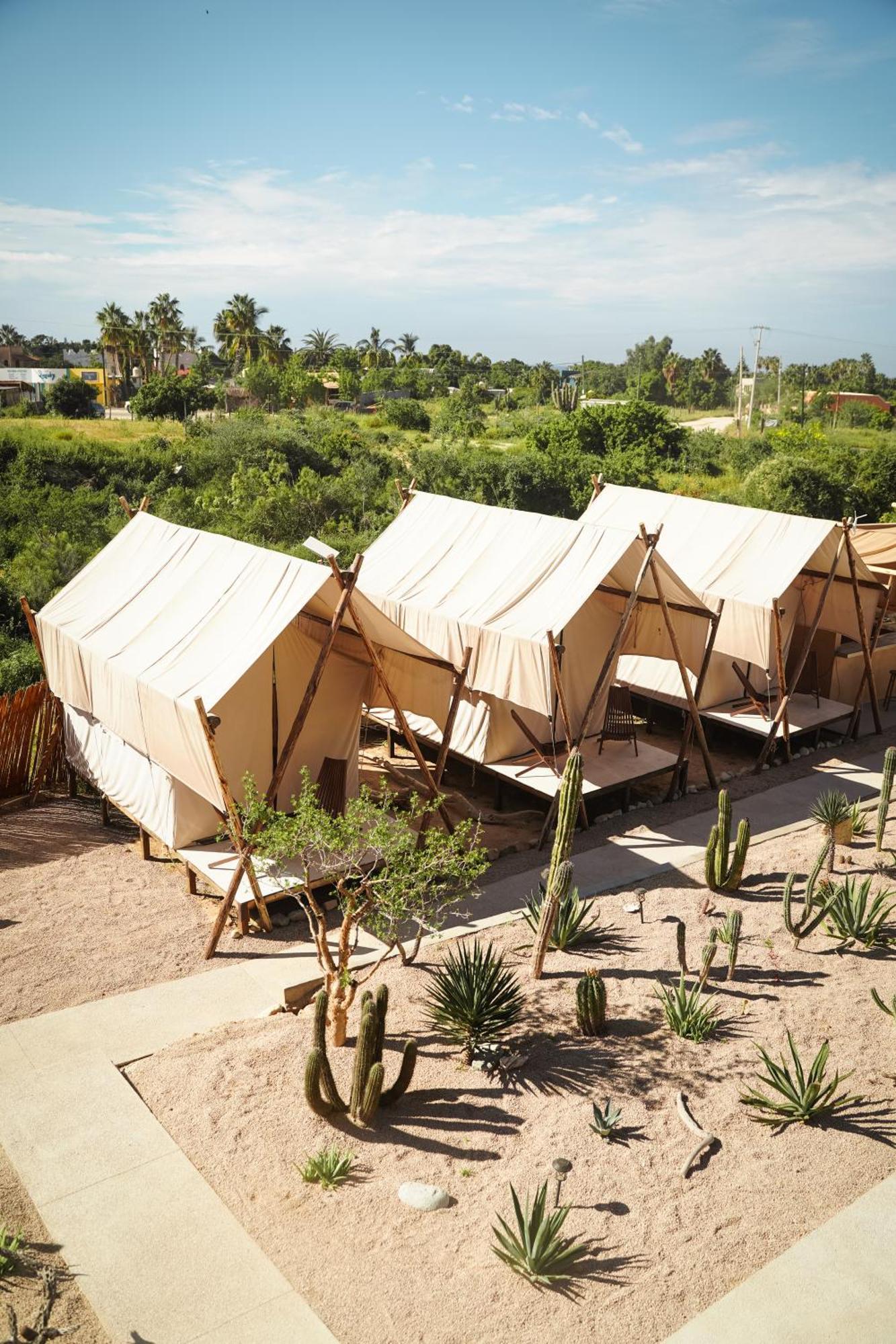 Hotel Baja Temple Todos Santos Zimmer foto
