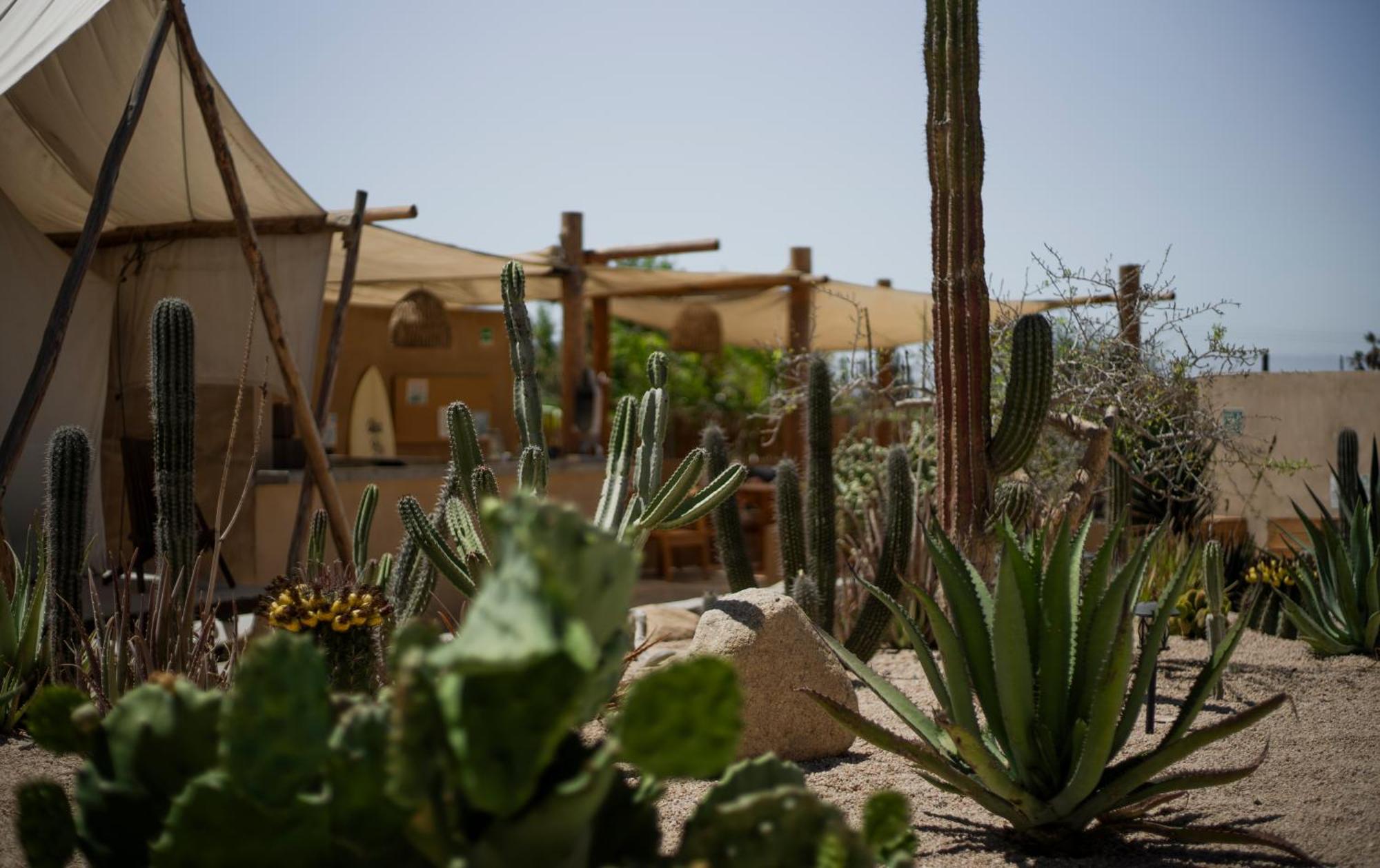 Hotel Baja Temple Todos Santos Exterior foto